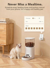 Load image into Gallery viewer, Onvis Smart Plug with Matter Energy Monitoring, Matter Over Thread, App & Voice Control, timers and automations (1 Pack)